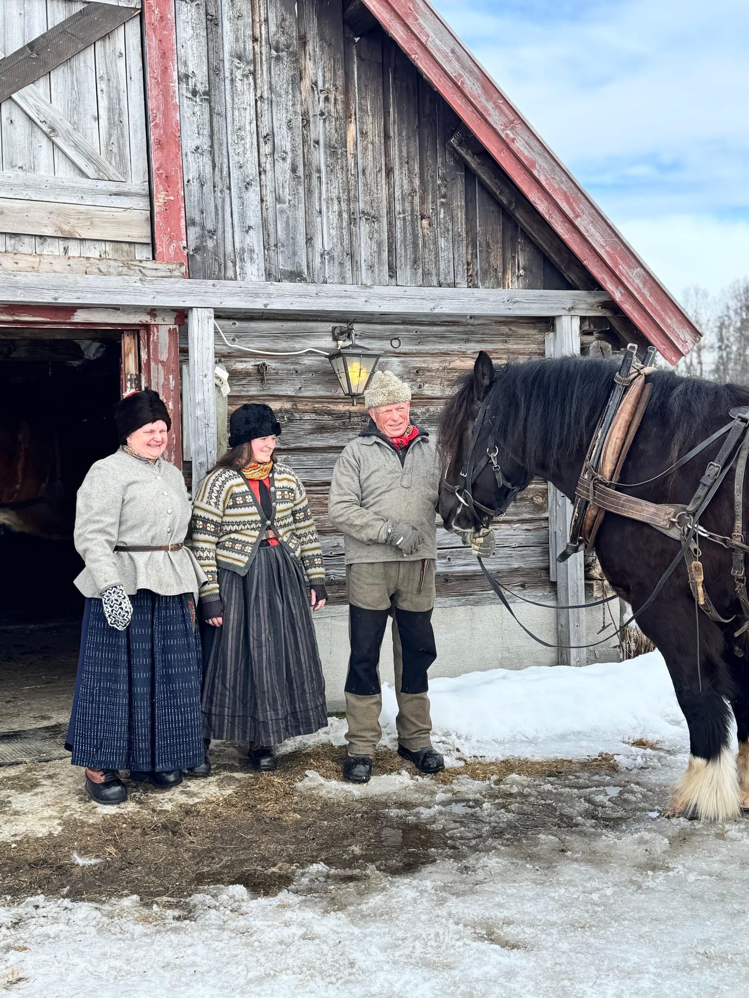 Horse and Sleigh to a Fireside Cabin Dinner in Vauldalen, Røros